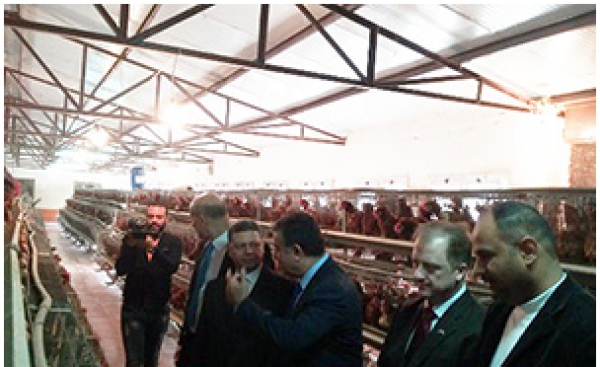 The Minister of Manpower and the University President inspect the Plant Nurseries in Moshtohor