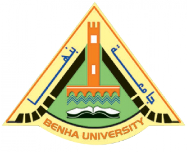 Benha University needs Manager for the International Cooperation Office