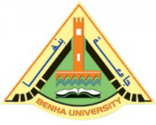 Benha University invites the President to sponsor its Talk with the Youth